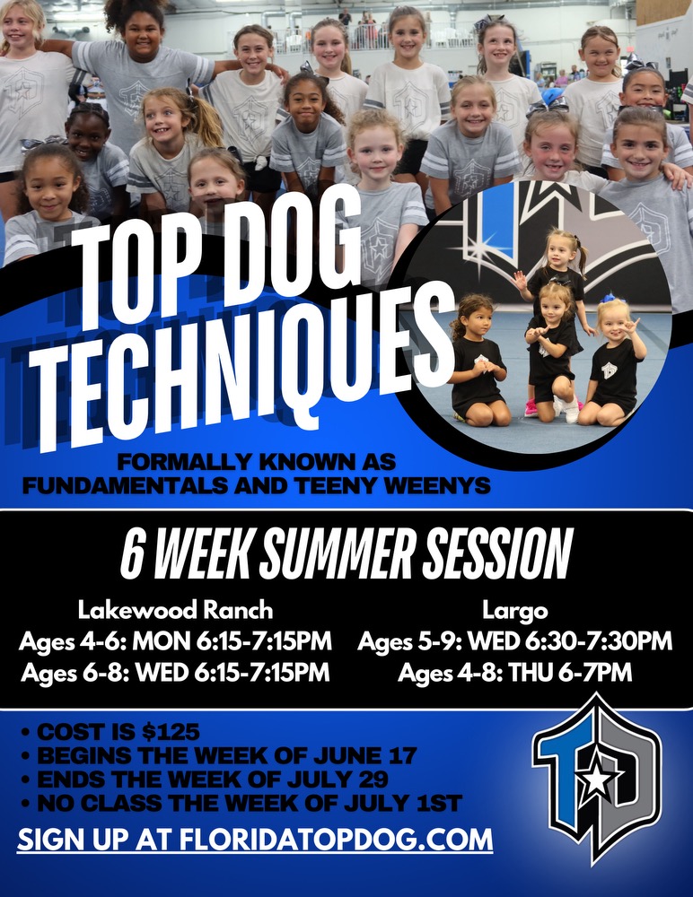 Read more about the article Top Dog Techniques Summer Session! Ages 4-9